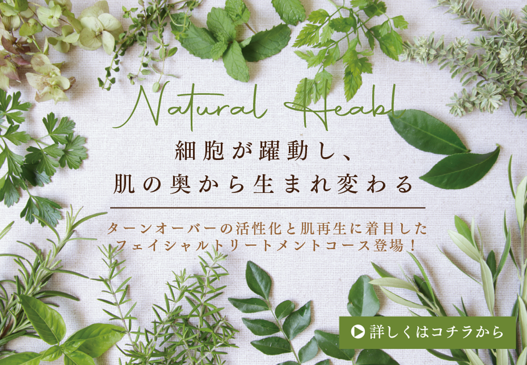 パソコン用の画像